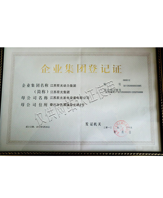 星光動(dòng)力集團登記證