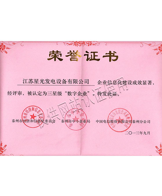 三星級數字企業(yè)